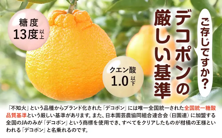 贈答用 デコポン  3kg  日本フルーツ株式会社 熊本県 荒尾市 《12月中旬-4月中旬頃出荷》 デコポン 果物 秀品 フルーツ スイーツ デザート ギフト ご贈答