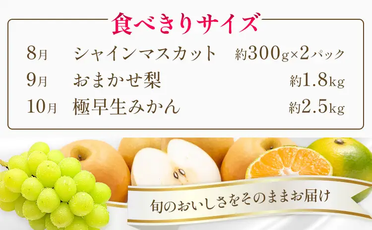 旬の プレミアム フルーツ 定期便 3ヶ月連続 秀品 ミニ 計4.9㎏ 日本フルーツ株式会社《8月上旬-10月末頃出荷》熊本県 荒尾市 シャインマスカット おまかせ 梨 極早生みかん 果物 フルーツ スイーツ デザート ギフト ご贈答