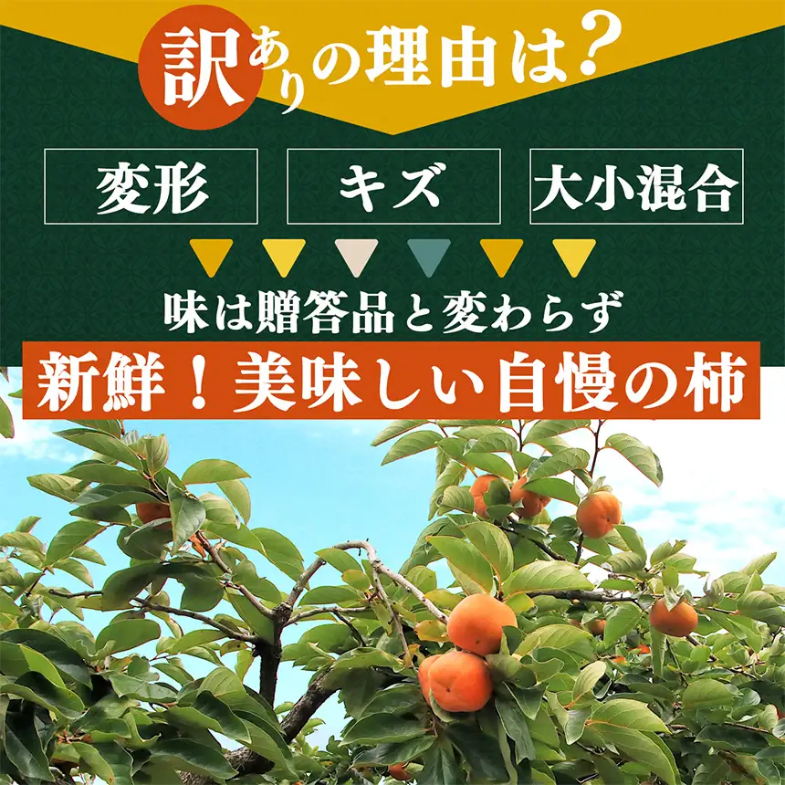 たねなし 柿 訳あり サイズ MIX 約 5kg | 田中農園 たねなし柿 | 奈良県 五條市