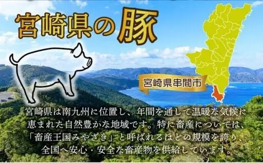 《2026年7月発送》豚肉切り落とし 250g×12パック 合計3kg_K033-024-2607