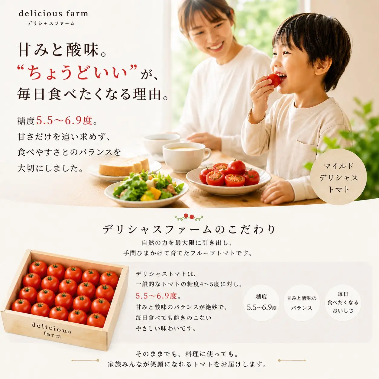 トマト マイルドデリシャス2kg とまと【delf045】