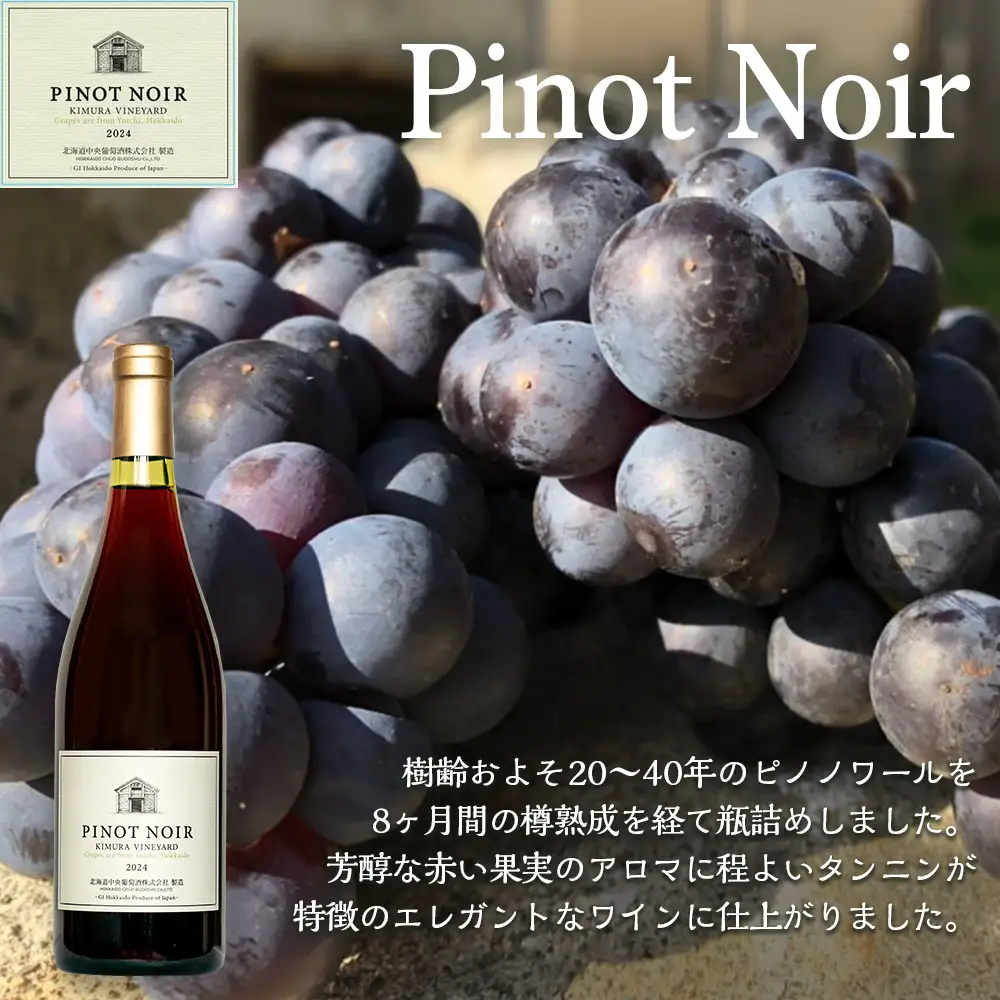 【数量限定】ピノノワール＆ケルナー2024 750ml×各1本 ワイン2本セット