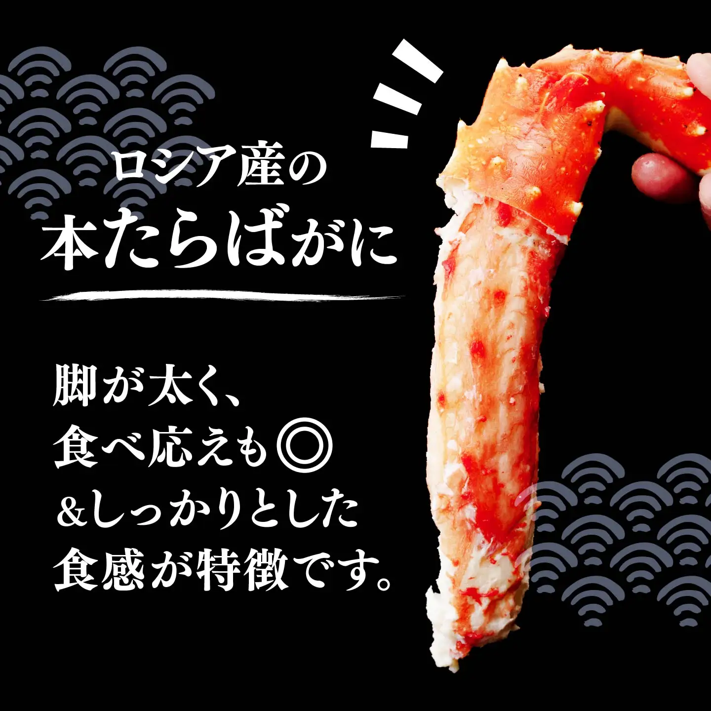 訳あり たらばがに脚 ボイル 約1kg【5営業日配送】| タラバガニ 茨城県 ひたちなか市