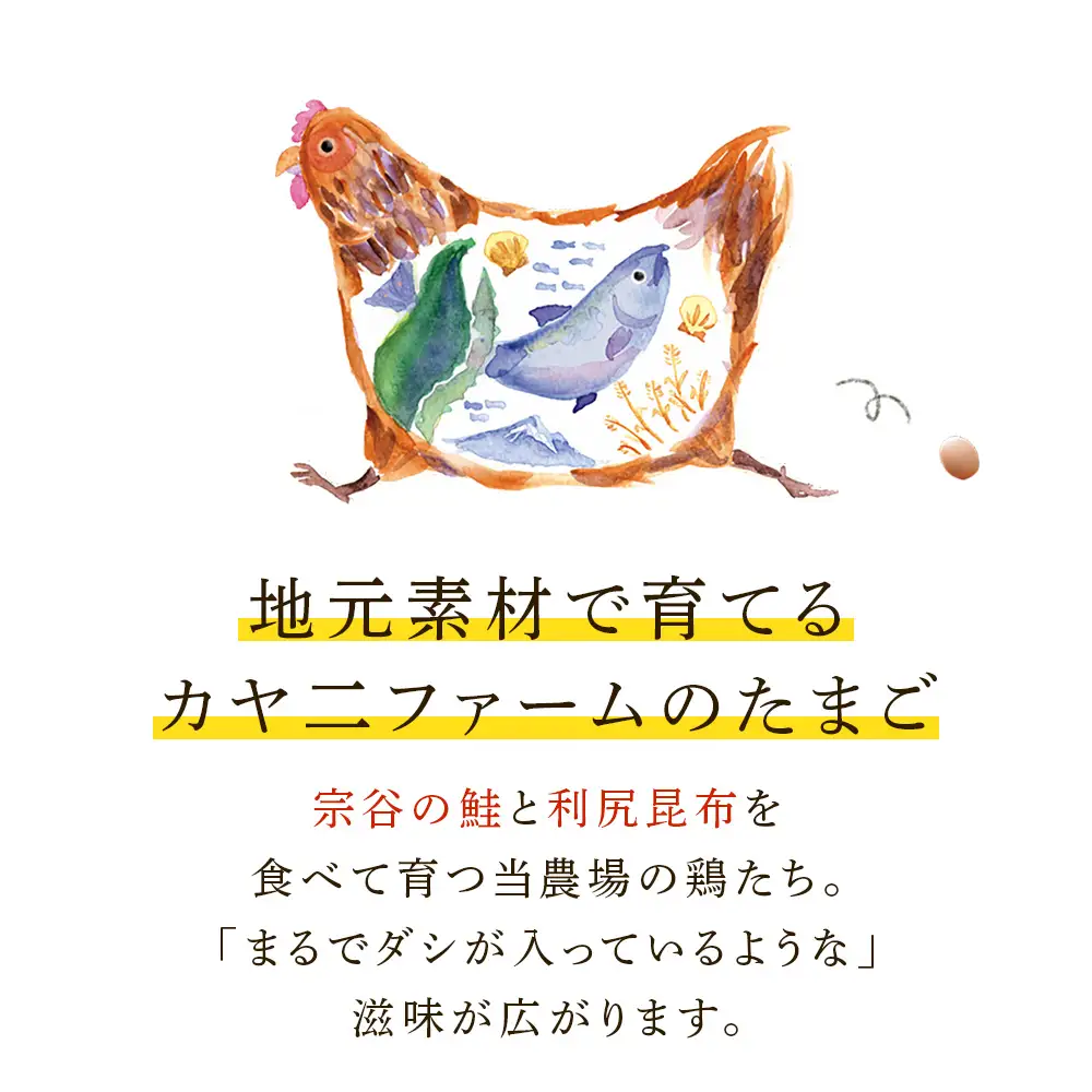【3カ月定期便】宗谷のしおかぜたまご30個入