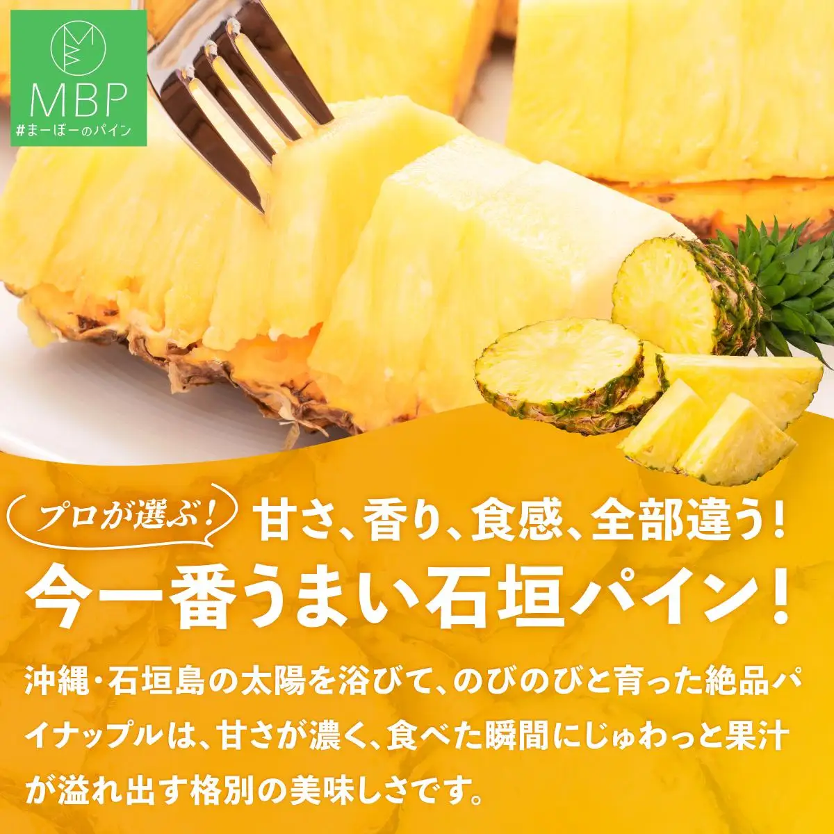 まーぼーの季節のパイン詰め合わせ 約3kg ＜2026年4月以降順次発送＞
