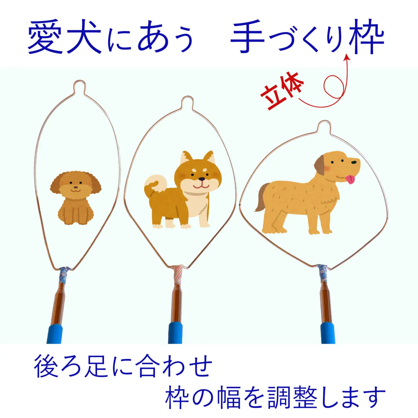 犬のフンキャッチャー らふーんミニ【組み立てキット】身長170cm以下限定 自分で作る、ワンコと楽しむ 國信商店 山口県 防府市 O-F22 犬 散歩 ウンチ取り 腰痛防止 便利グッズ ペット用品 特許 工作