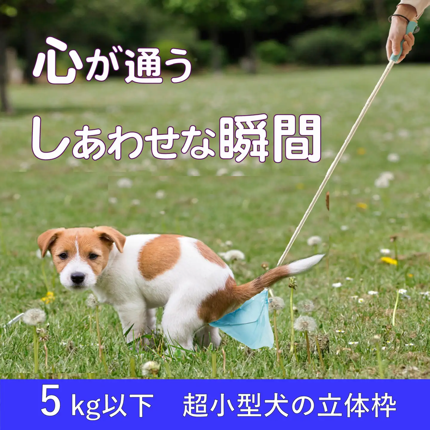 犬のフンキャッチャー らふーん【小型枠】　特許技術で手が汚れない 立ったまま簡単フンキャッチ トイプードルなど超小型犬用 國信商店 山口県 防府市 A-H19 犬 散歩 ウンチ取り 腰痛防止 便利グッズ ペット用品 特許