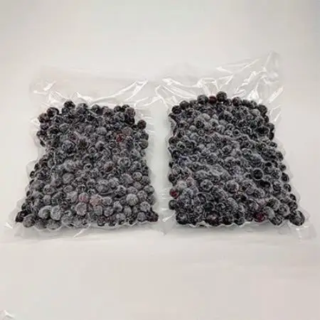 【茨城県産】冷凍ブルーベリー1kg(500g×2パック)【配送不可地域：離島・沖縄県】【1735249】