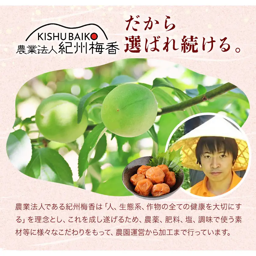  塩のみで漬けたすっぱい 梅干し 約1kg 500g 2パック 農業法人 株式会社紀州梅香