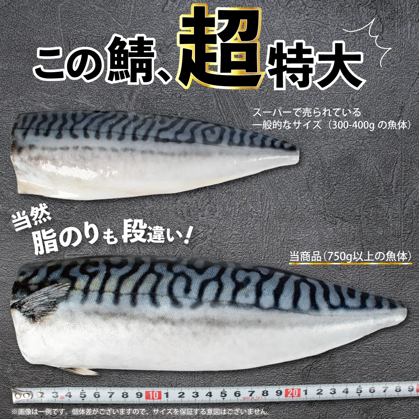 超特大 ！ 大トロ 塩さば ６枚 サバ