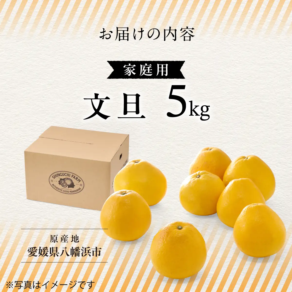 創業百八年 愛媛みかんの老舗【文旦5kg】家庭用【新口農園】【D70-31】【1470650】 YWTK031
