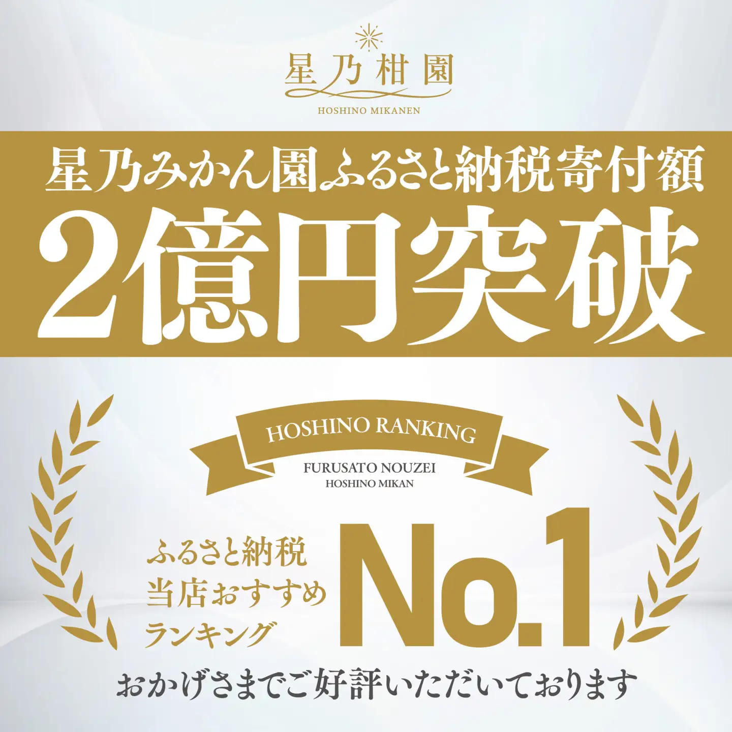 【先行受付】【三つ星ブランド】星乃みかん(4.5kg)【B45-90】【1582444】 YWTAZ052