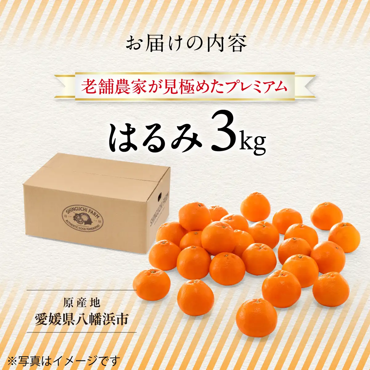老舗農家が見極めたプレミアム【はるみ3kg】【希少・プチプチ食感】【C70-130】【1684351】 YWTK129