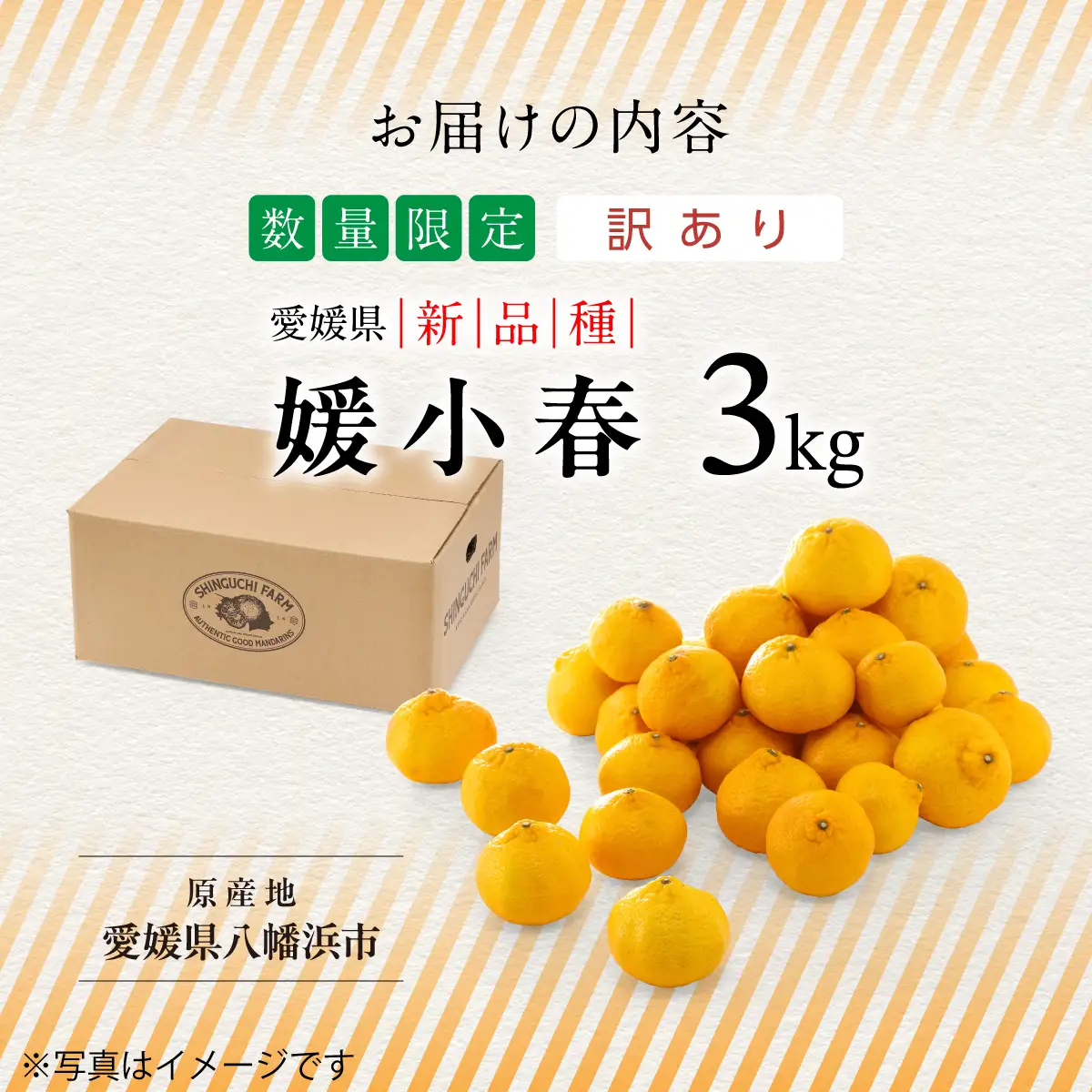 【先行受付】【訳あり】媛小春 3kg【C70-162】【1710482】 YWTK161