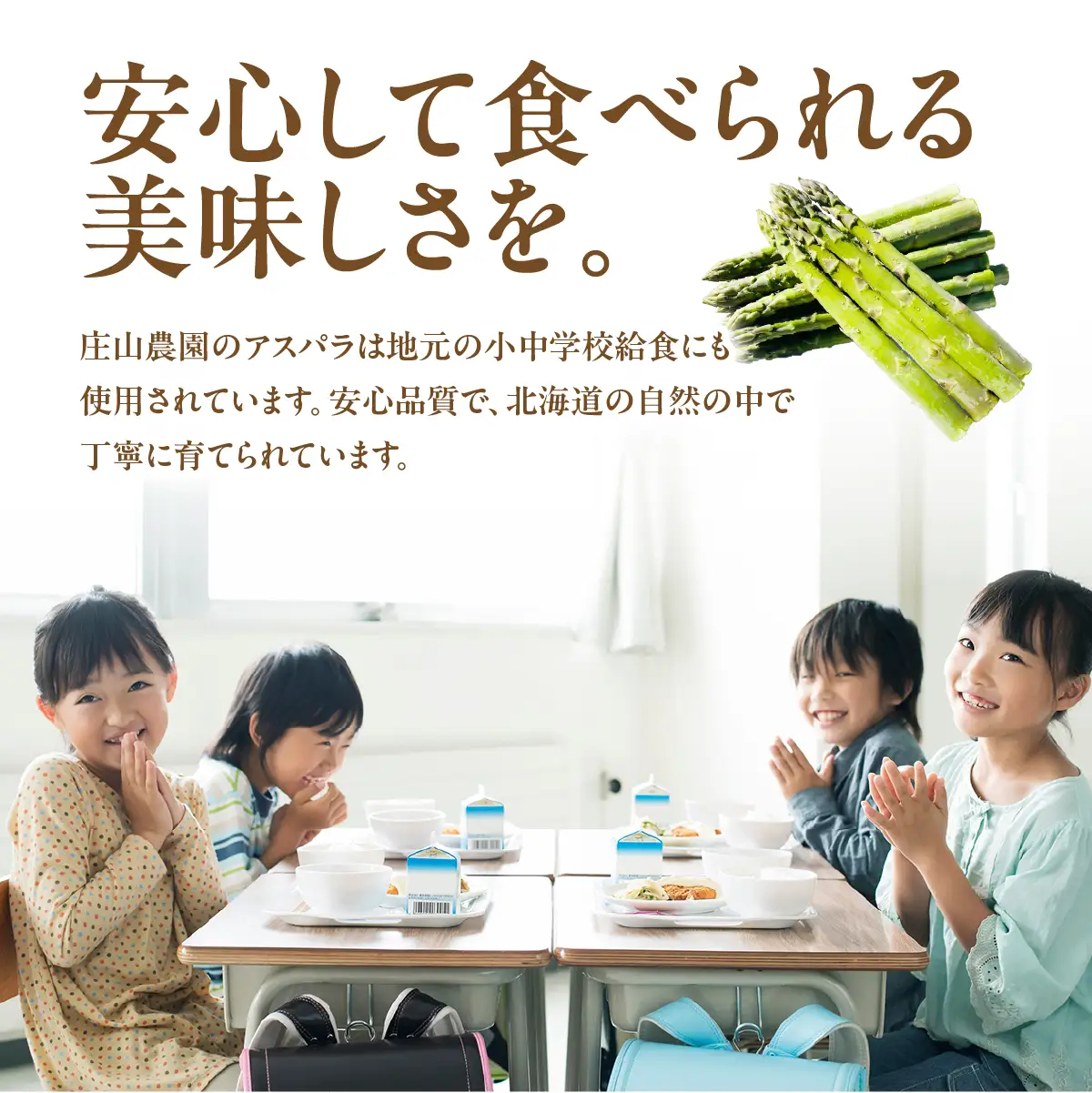 【2026年6月下旬頃より順次発送】北海道厚沢部町産 グリーンアスパラ L～2L混合 約1.3kg ASG046