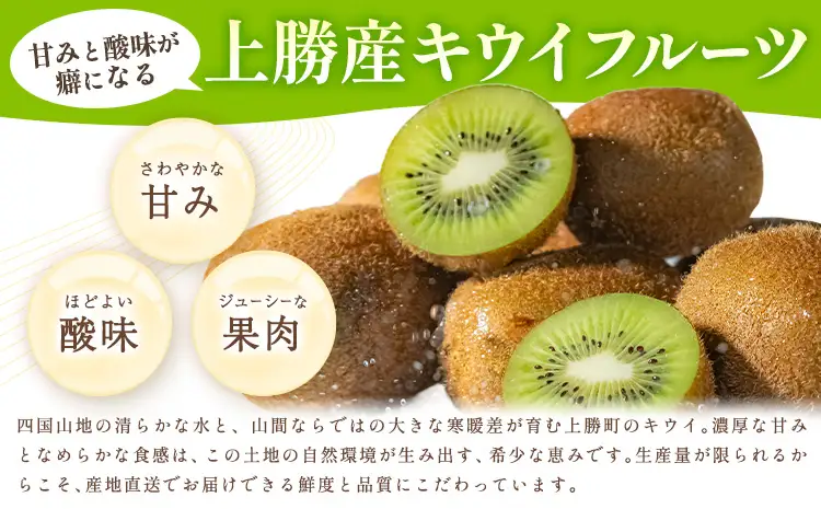 キウイ キウイフルーツ 徳島県 上勝町産 ご家庭用 訳あり 3.3kg