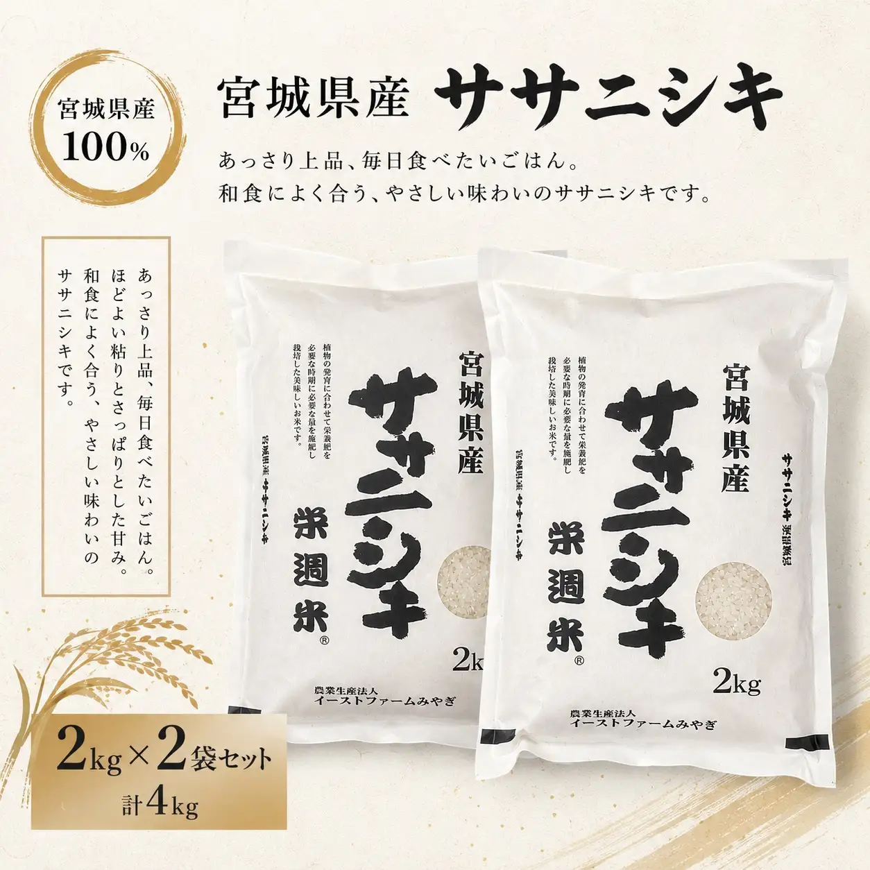 令和８年産 栄週米 ササニシキ（精米） 2kg×2袋セット※10月上旬より順次発送予定 【isff006】