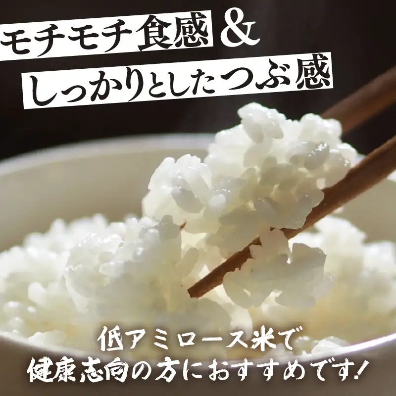 【先行予約】【令和8年産】定期便 ≪6ヶ月連続お届け≫ 化学肥料不使用 ふくむすめ 精米 5kg × 6回（合計30kg）※2026年10月上旬より順次発送予定 [aw010-f014]