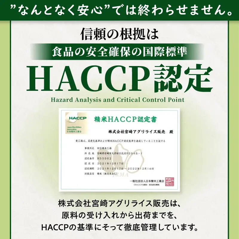 国産ブレンド米 「米一膳」15kg 米