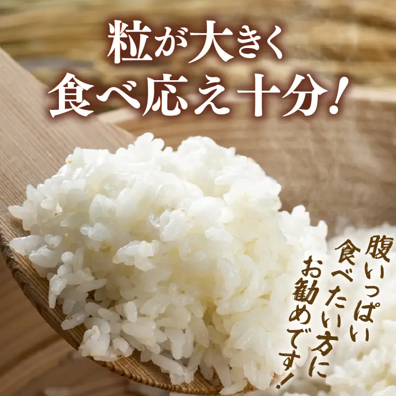 【先行予約】【令和8年産】定期便 ≪6ヶ月連続お届け≫ 化学肥料不使用 てんこもり 精米 5kg × 6回（合計30kg）※2026年10月上旬より順次発送予定 [aw010-f015]
