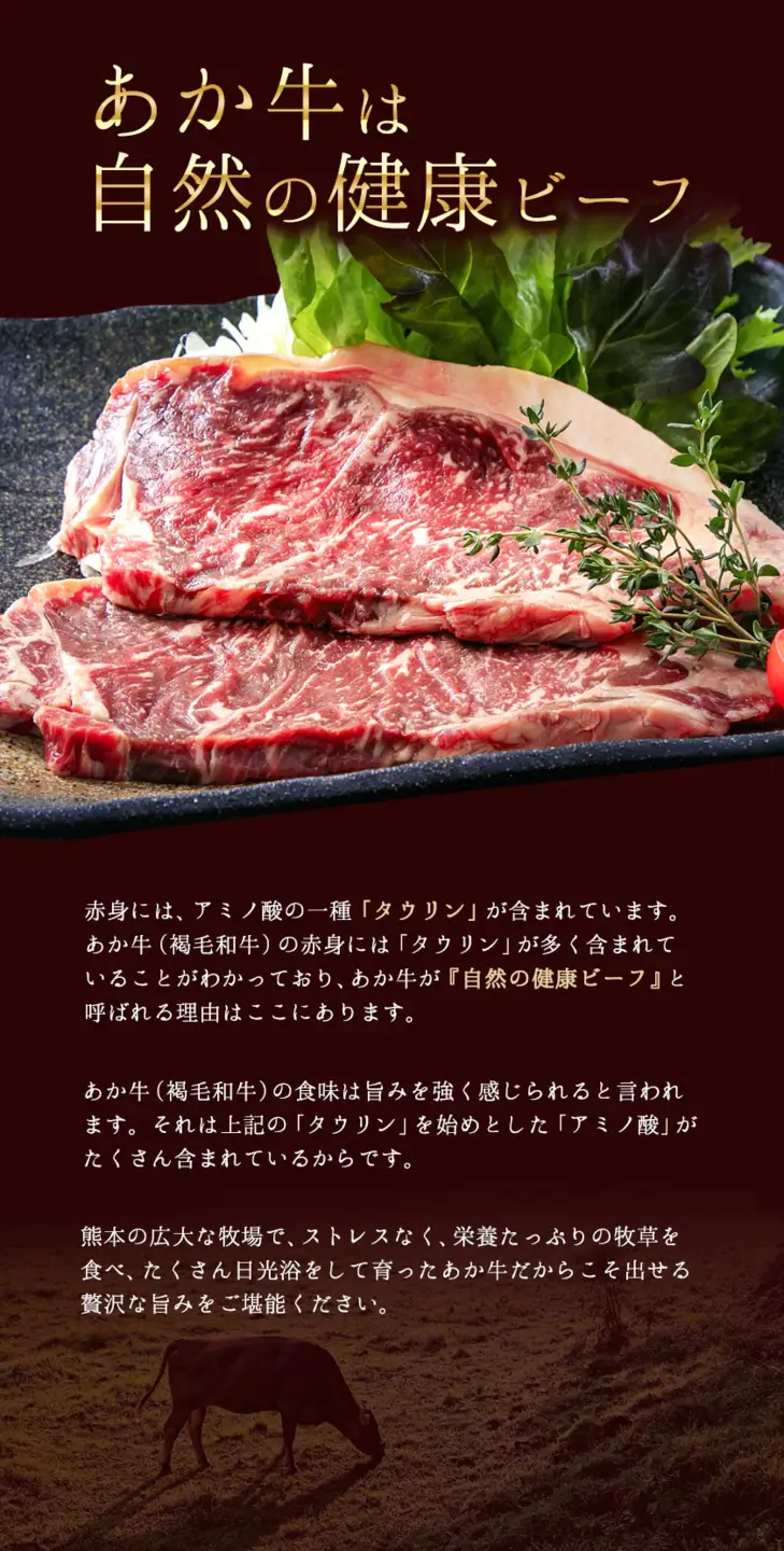 ステーキ 赤身 牛肉 サーロインステーキ 送料無料 あか牛 小分け 熊本県産 500g ( 250g x 2枚 ) 小分け 個包装 ステーキ肉 あかうし 赤牛 あか牛丼 にも ジューシー 焼肉 《30日以内に出荷予定(土日祝除く)》