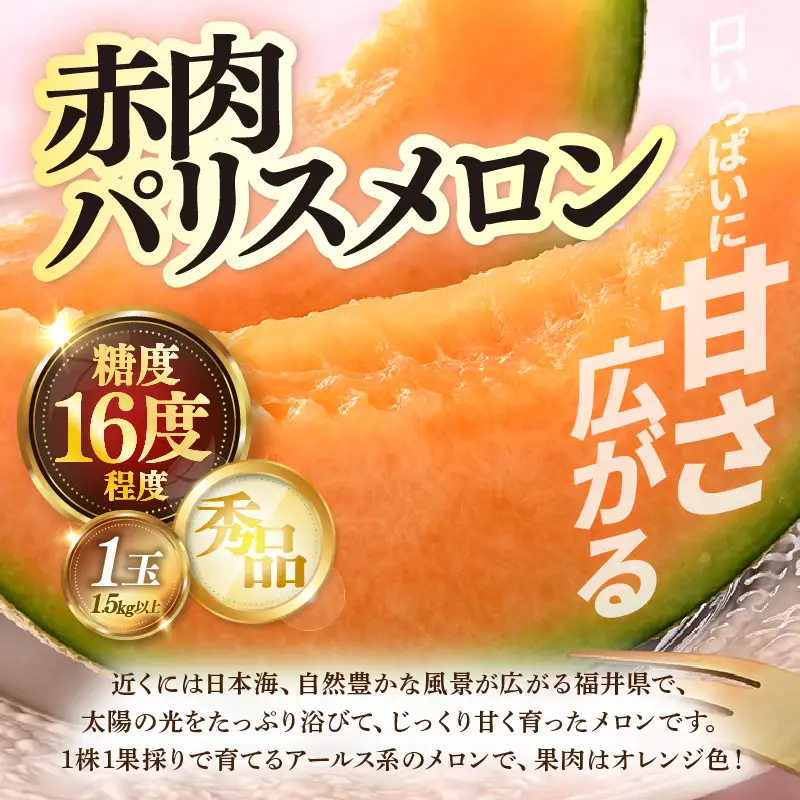 【先行予約】定期便 ≪3回お届け≫ 旬のフルーツ定期便 全3回 赤肉パリスメロン・シャインマスカット・新興梨【2026年7月以降順次発送予定】 [aw077-b005]