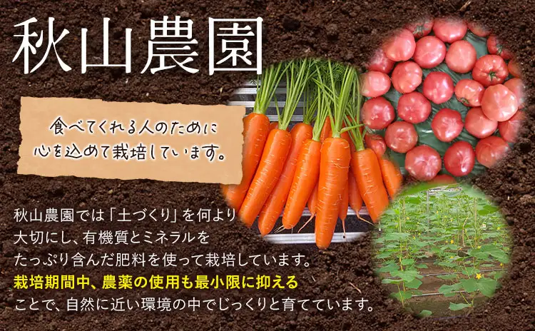トマト 栃木県 野木町産 トマト 桃太郎 約2kg 秋山農園《3月上旬-7月上旬頃出荷予定》