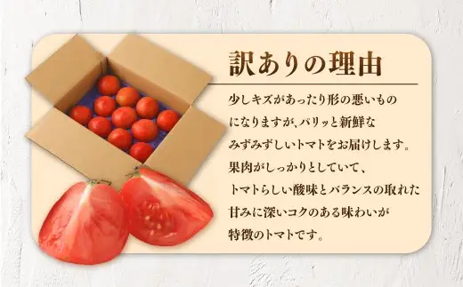 訳ありトマト 8～14玉 （約2kg）【2027年1月中旬～5月下旬発送予定】 トマト 訳あり とまと 野菜 新鮮 新鮮野菜 ZS-995