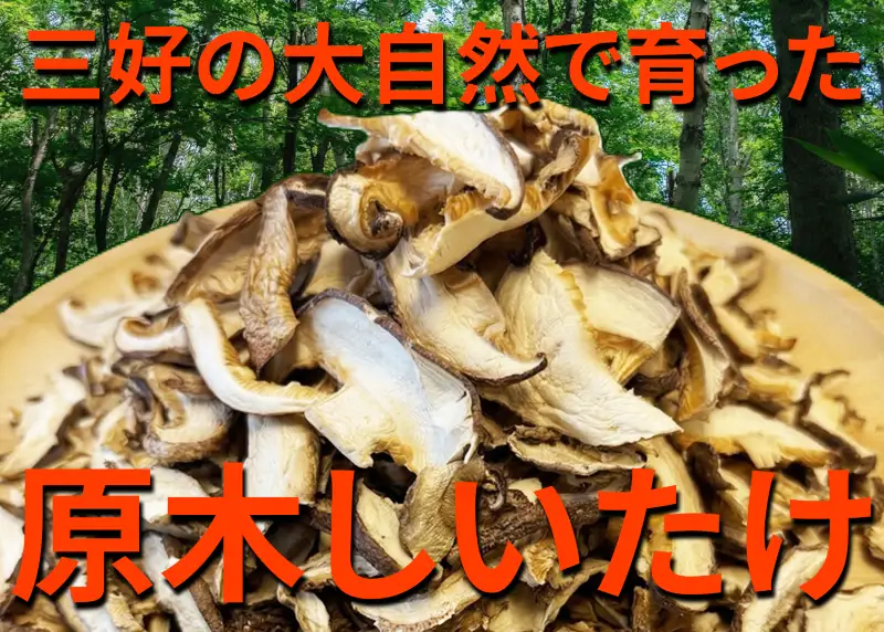 乾燥しいたけ 50g × 5袋 原木 椎茸 干し しいたけ 【 しいたけ 】