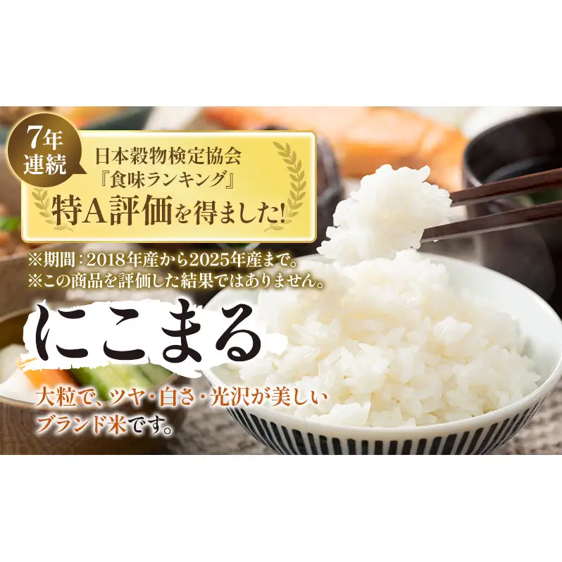 【令和7年度産】静岡県産米 にこまる 特A 5kg 川島米穀店 お米 精米 こめ ご飯 白米 静岡 浜松市