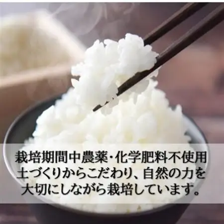 栽培期間中農薬・化学肥料不使用　こしひかり　玄米 5kg×1袋(5kg)【1735069】