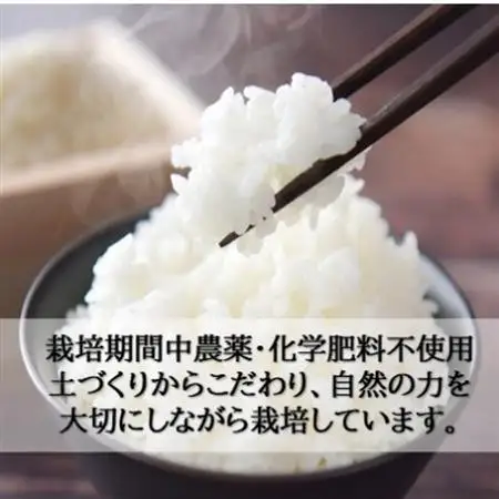 栽培期間中農薬・化学肥料不使用　こしひかり　玄米 5kg×2袋(10kg)【1735073】