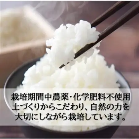 栽培期間中農薬・化学肥料不使用　こしひかり　白米 5kg×1袋(5kg)【1735134】