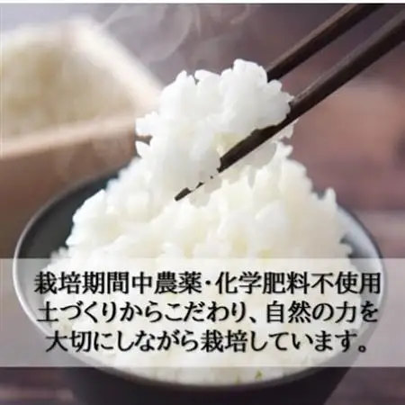 栽培期間中農薬・化学肥料不使用　こしひかり　白米 5kg×4袋(20kg)【1735140】