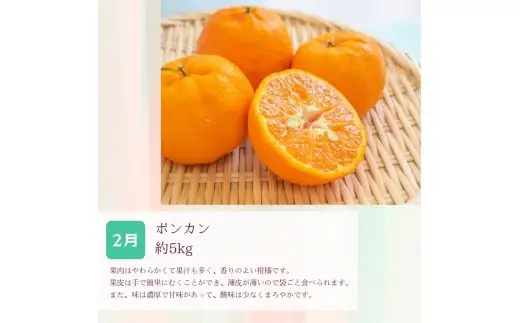 定期便全3回 【2月・3月・4月発送】 和歌山の春の柑橘 （ポンカン・はるか・ブラッドオレンジ）秀品【TM-tkb452】 