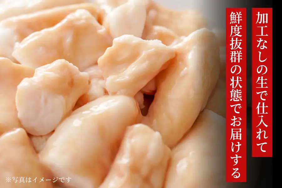 [贈り物にもおすすめ！]焼肉ホルモン富士 店舗チケット5千円×3枚 [1301]