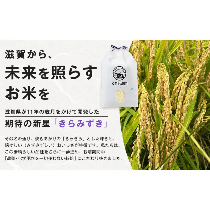らぷれ農園のきらみずき精米5kg（農薬不使用米）　栽培期間中 農薬不使用　米 お米 ご飯 ごはん 精米 滋賀県