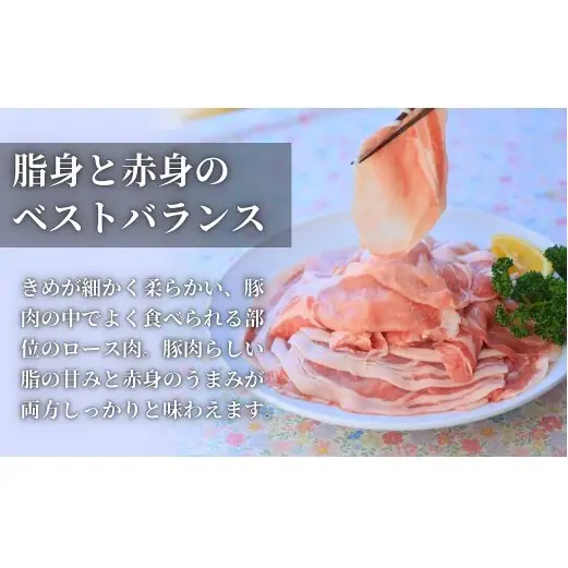 【計1kg！真空個包装で便利】ありたぶた ロース 薄切り しゃぶしゃぶ用 200g×5パック 1kg【有田まちづくり公社】豚 ぶた 豚肉 ロース肉 スライス 小分け 真空 パック 佐賀県産 有田町産 ブランド豚 N12-18