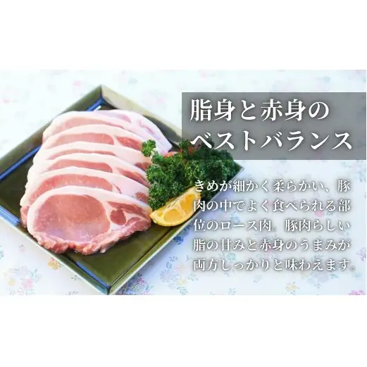 【計1kg！真空個包装で便利】ありたぶた ロース 厚切り とんかつ用 100g×10パック 1kg【有田まちづくり公社】豚 ぶた 豚肉 ロース肉 トンテキ ステーキ 小分け 真空 パック 佐賀県産 有田町産 ブランド豚 N12-19