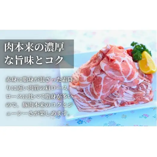 【計1kg！真空個包装で便利】ありたぶた 肩ロース 薄切り 生姜焼き用 200g×5パック 1kg【有田まちづくり公社】豚 ぶた 豚肉 肩ロース肉 スライス 小分け 真空 パック 佐賀県産 有田町産 ブランド豚 N12-20
