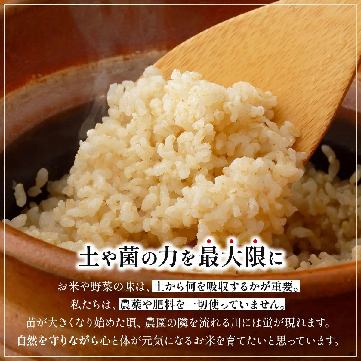農薬・除草剤・肥料不使用 自然栽培米 令和7年度産ヒノヒカリ 玄米 3kg