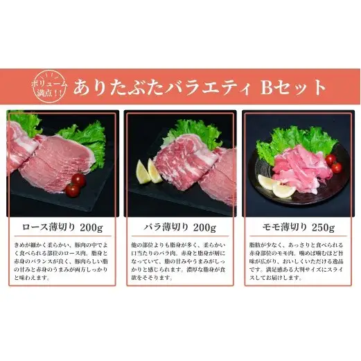 【手軽！ありたぶた5種】ありたぶた 5種 Bセット 【有田まちづくり公社】豚 ぶた 豚肉 赤身 モモ ロース 薄切り スライス ハンバーグ 餃子 ぎょうざ セット 小分け 真空 パック 佐賀県産 有田町産 ブランド豚 N12-21