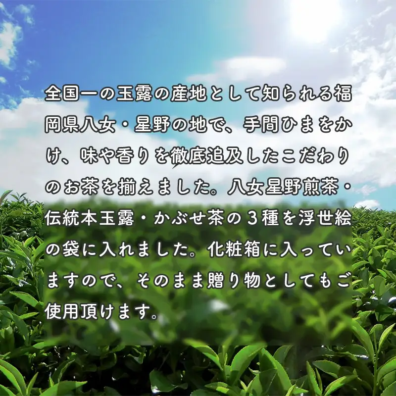 八女星野茶 浮世絵セット【B3-042】