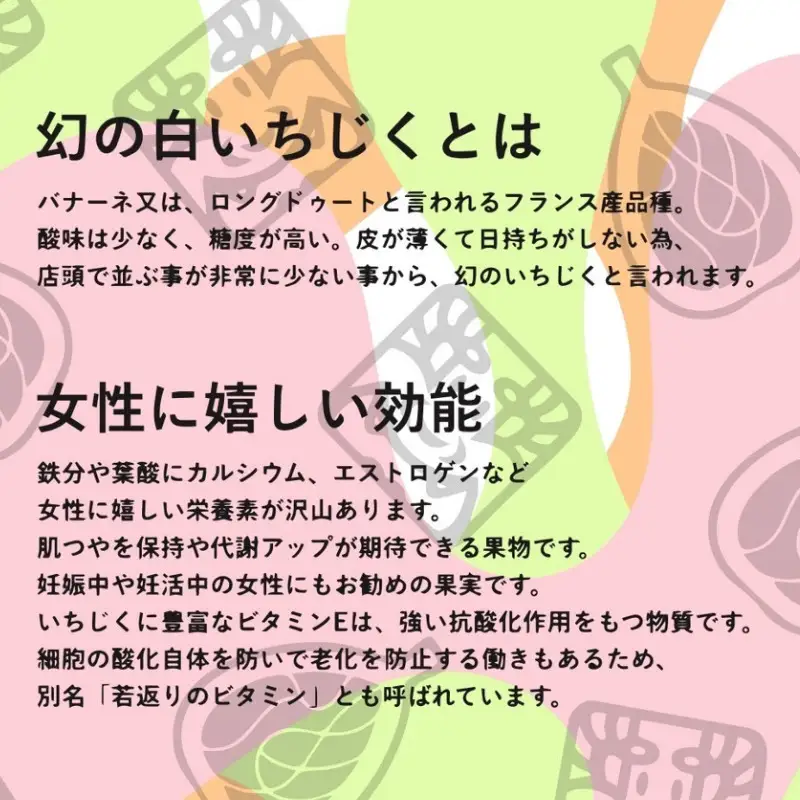 【数量限定】幻の白いイチジク吉野葛アイスバー　５本入り《かねはな堂》｜“幻の白いちじく”使用｜吉野葛の新感覚アイスバー5本セット｜美容を意識する方にも人気の和スイーツ