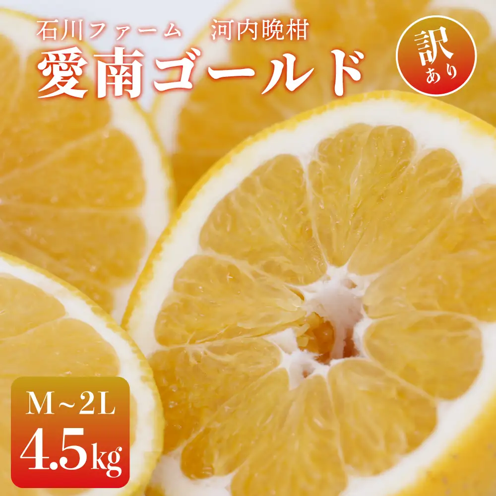 訳あり 愛南ゴールド（河内晩柑) 4.5kg サイズ（M～2L) 愛媛県 みかん 石川ファーム 