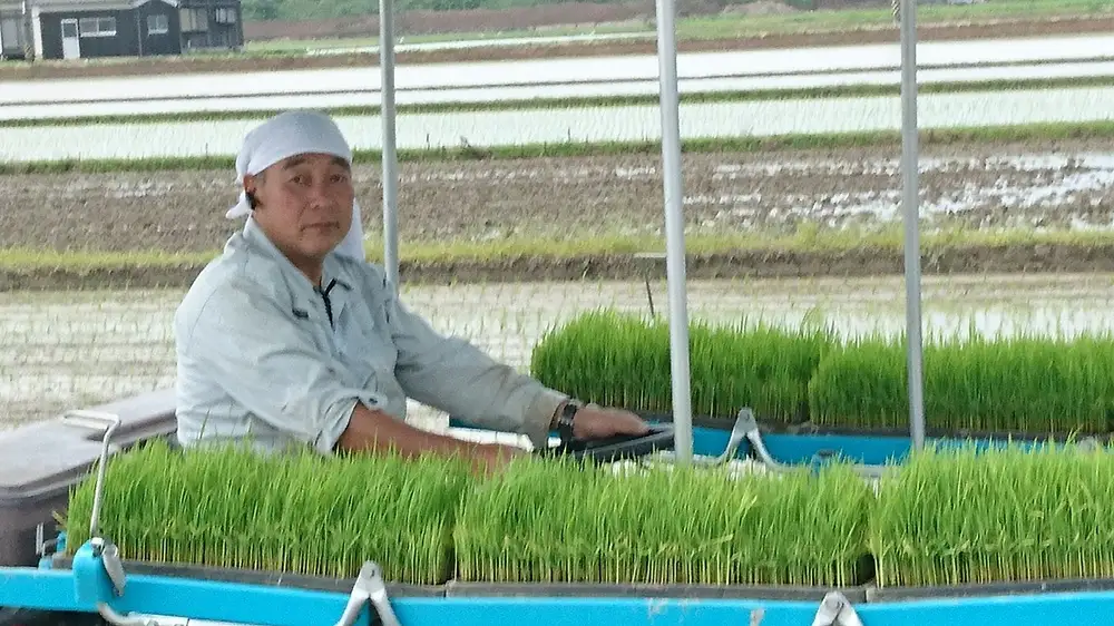 【令和8年産 先行予約】 食味ランキング特A10年連続受賞の美味しいお米 岡山県産きぬむすめ 玄米 10kg / お米 特A きぬむすめ 岡山県産 【mabo002-01】