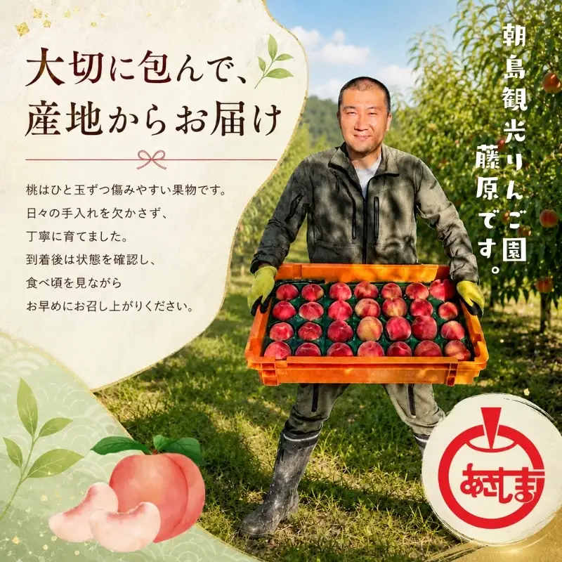 【先行予約】 桃あかつき約3kg(9~13個)【8月上旬～順次発送】【asashima002】