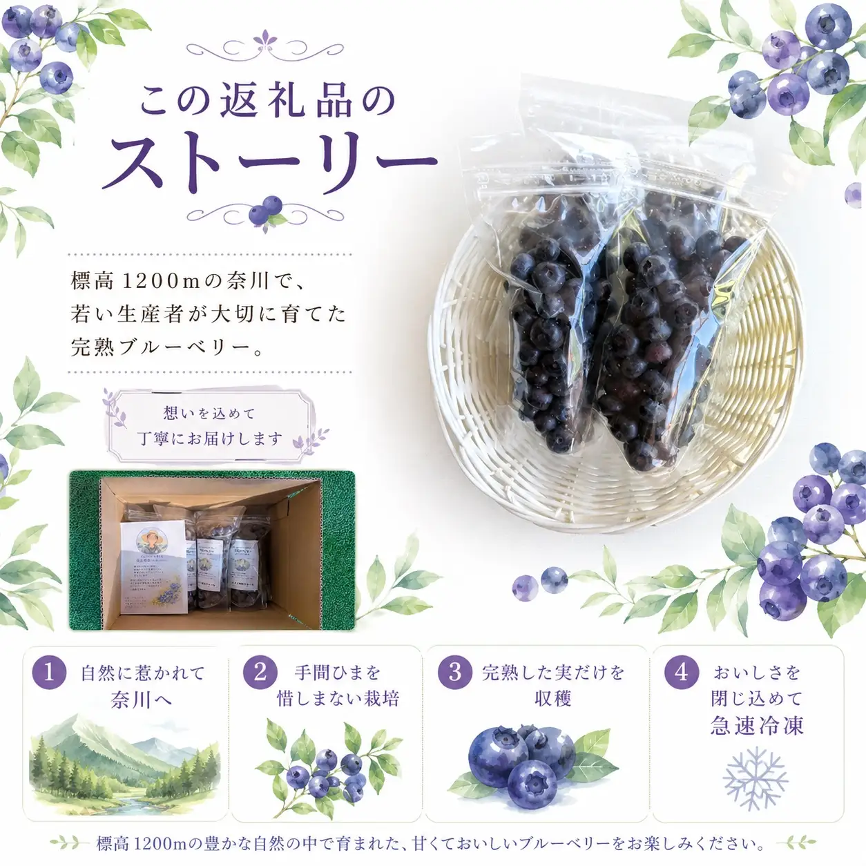 【先行受付】【栽培期間中農薬不使用】標高1200mで育った完熟冷凍ブルーベリー 600g（150g×4パック）