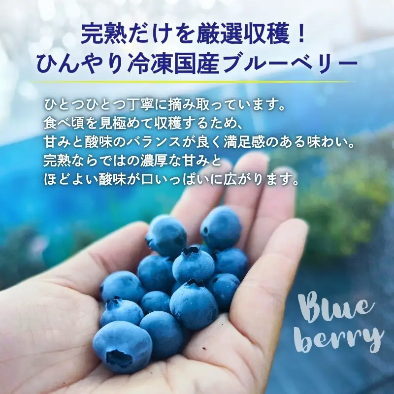 【2026年8月中旬～順次発送】国産 冷凍ブルーベリー 750g (250g×3パック)
