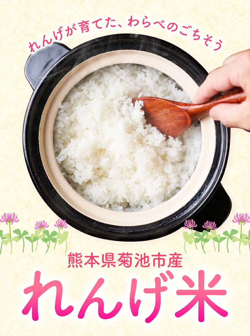 熊本県菊池市産のれんげ米 10kg 《30日以内に出荷予定(土日祝除く)》 精米方法 精米 お米 白米 レンゲ米 熊本県産 九州産 送料無料